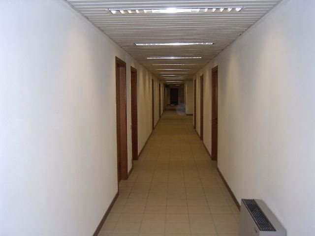 Edificio Direzionale uso ufficio affitto a Vigonza