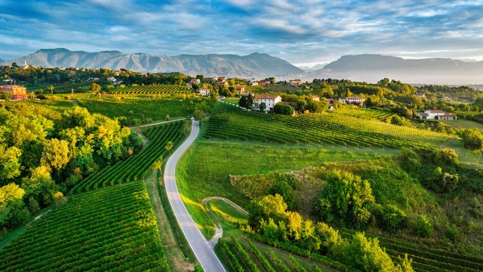 Terreno uso agricolo vendita a Pradamano