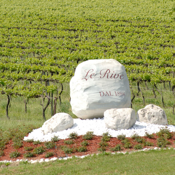 Terreno uso agricolo vendita a Pradamano