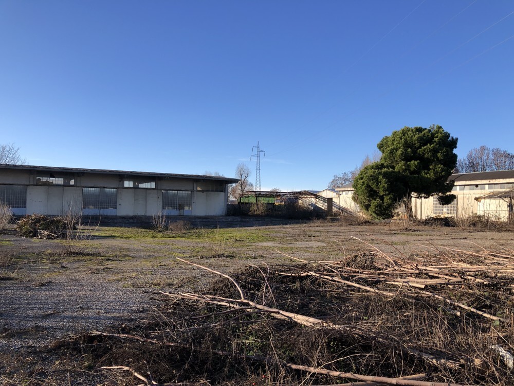 Complesso uso industriale vendita a Cinisello Balsamo