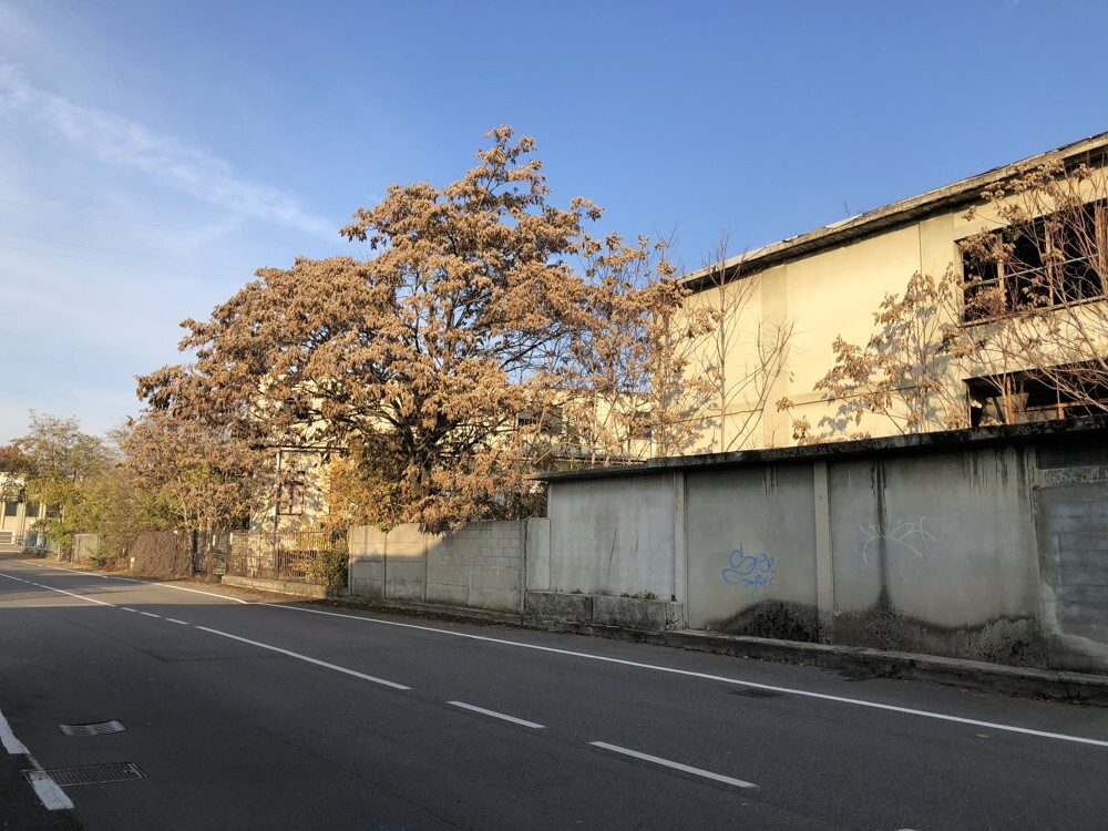 Capannone uso industriale vendita a Cinisello Balsamo