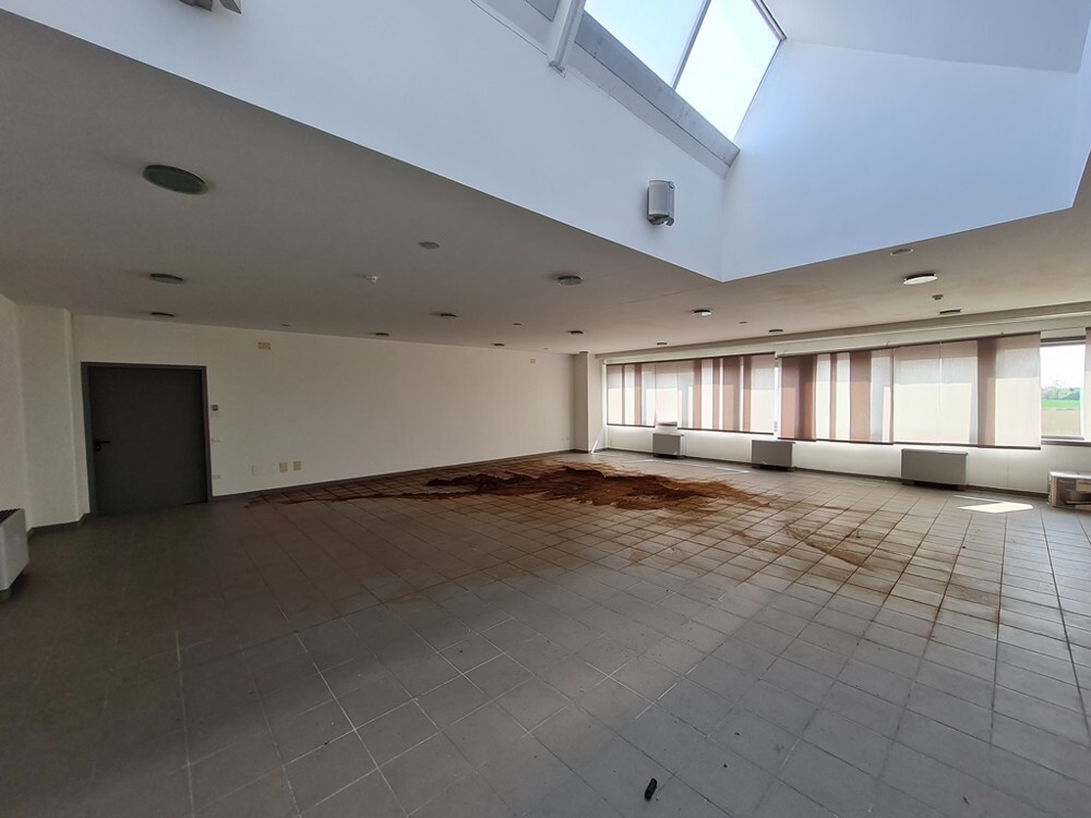 Complesso uso industriale vendita a San Bellino