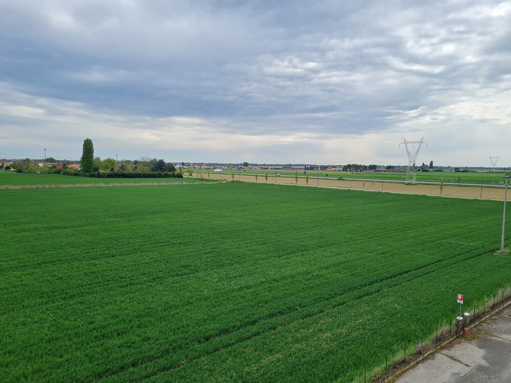 Complesso uso industriale vendita a San Bellino