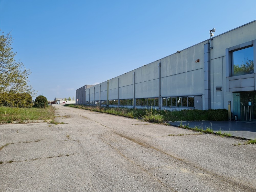 Complesso uso industriale vendita a San Bellino