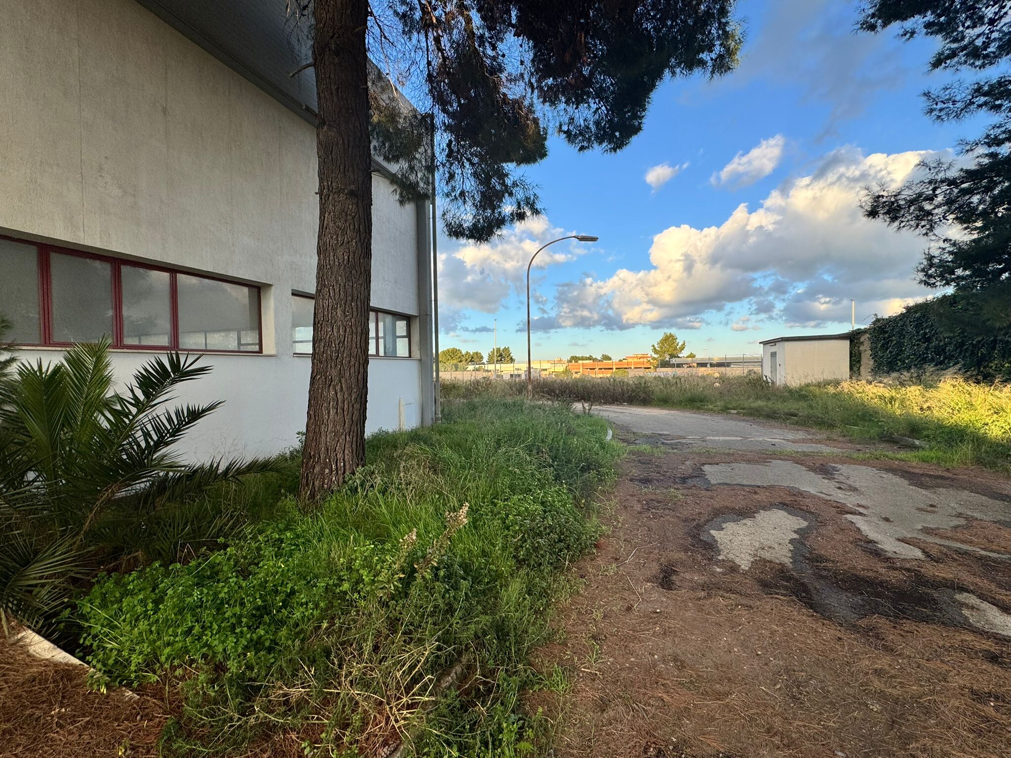 Complesso uso industriale vendita a Bari