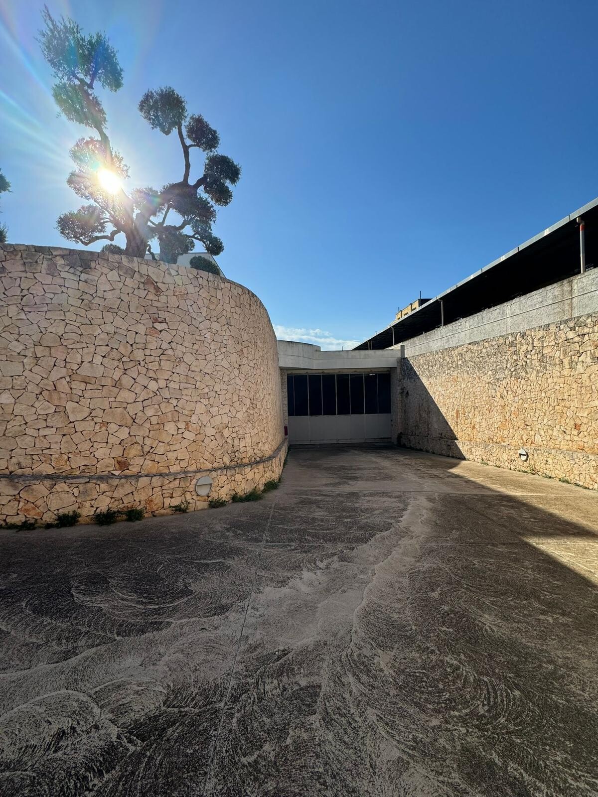 Complesso uso industriale affitto a Modugno