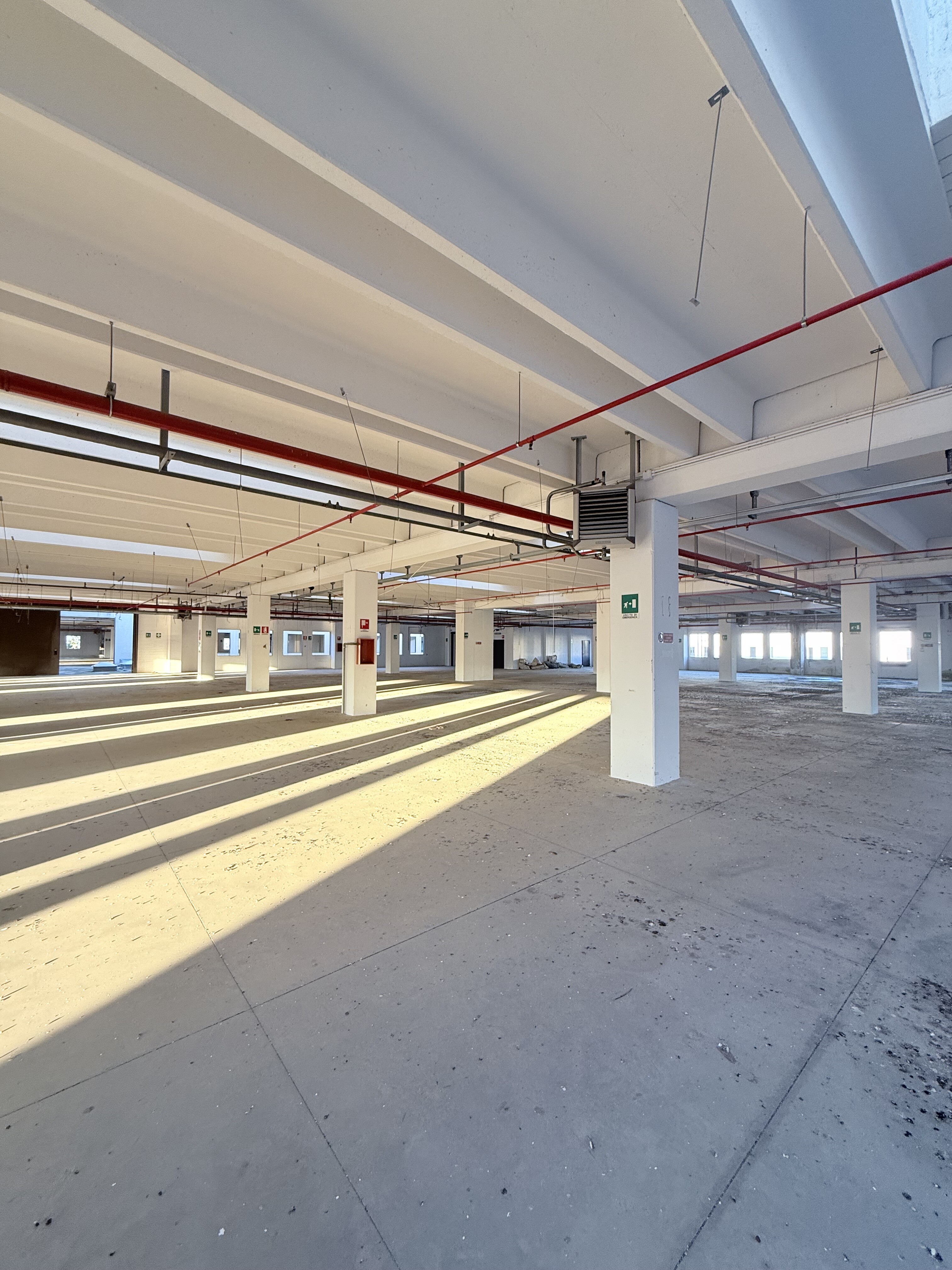 Complesso uso industriale affitto a Modugno