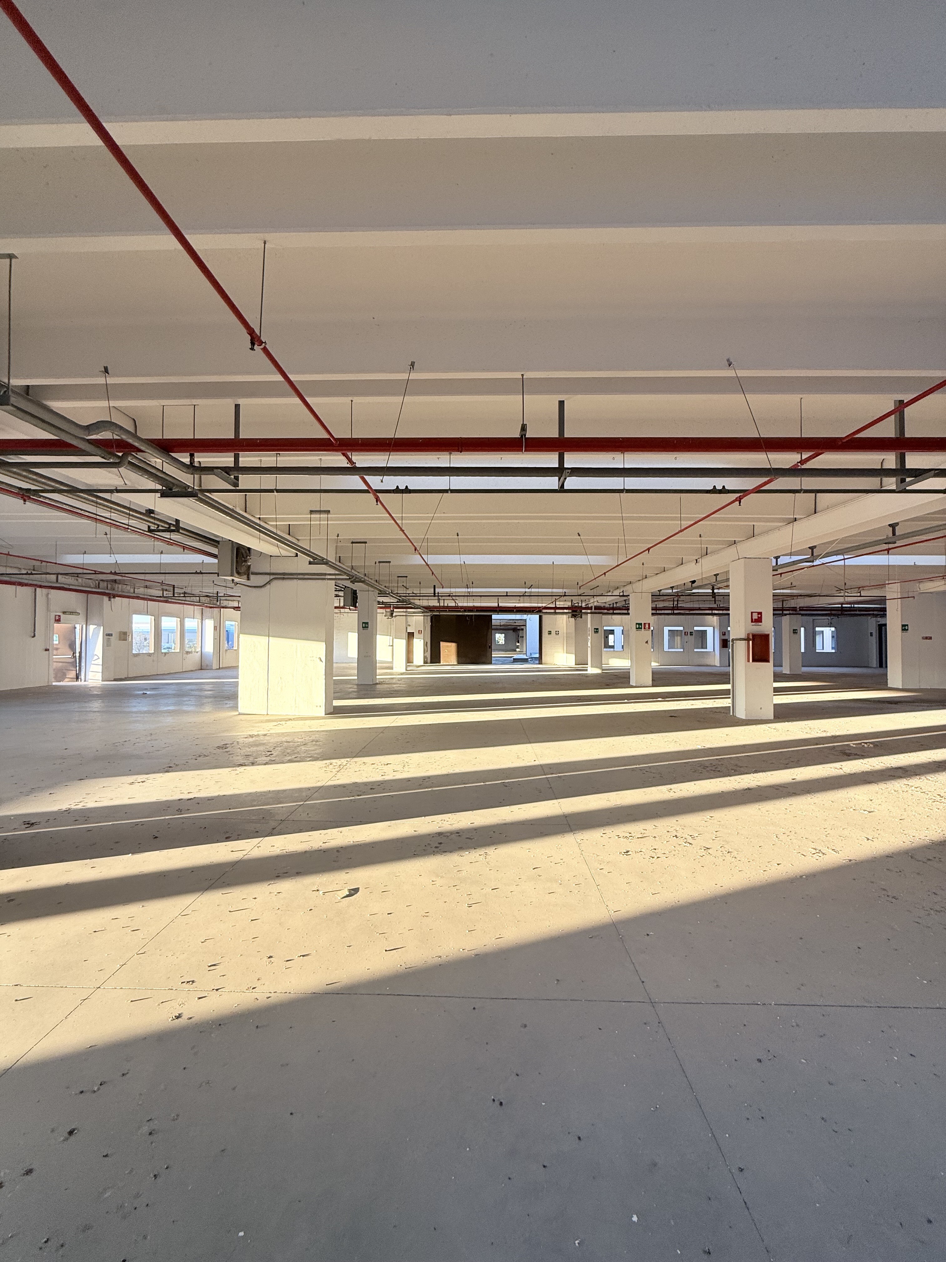 Complesso uso industriale affitto a Modugno