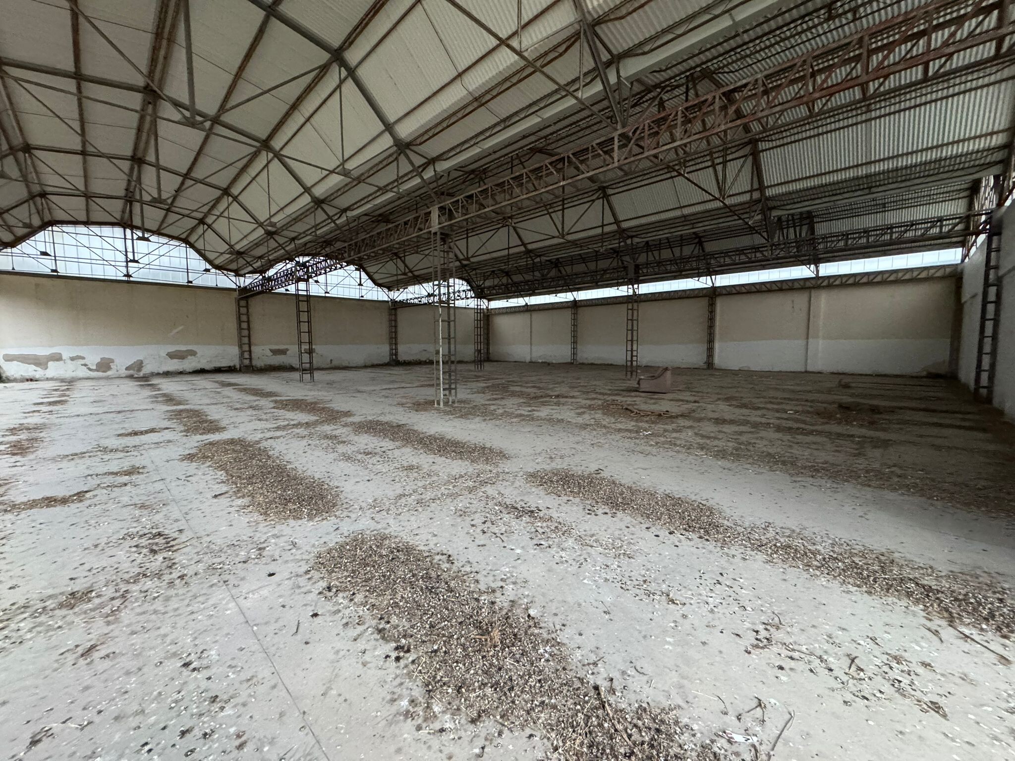 Complesso uso industriale vendita a Bari