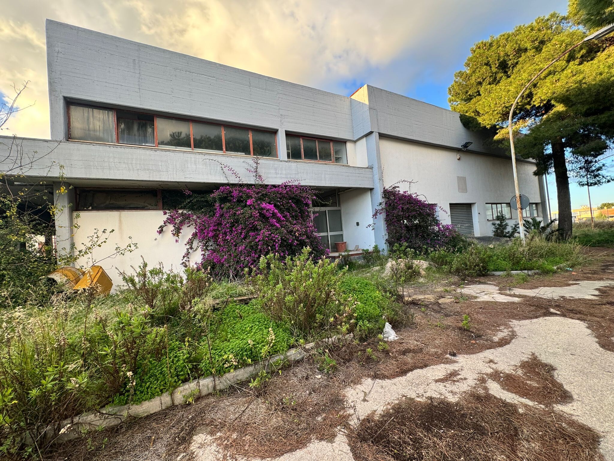Complesso uso industriale vendita a Bari