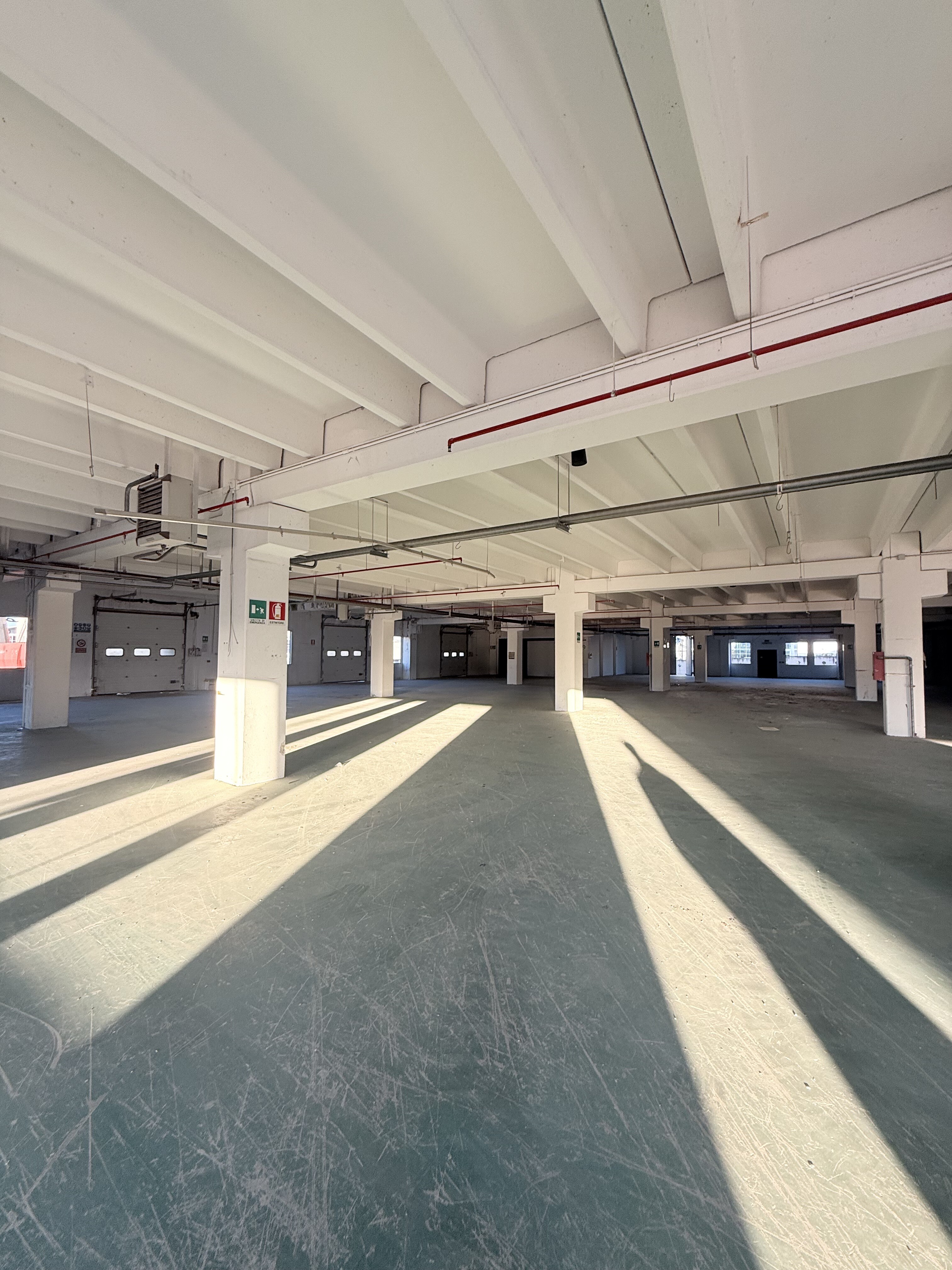 Complesso uso industriale affitto a Modugno