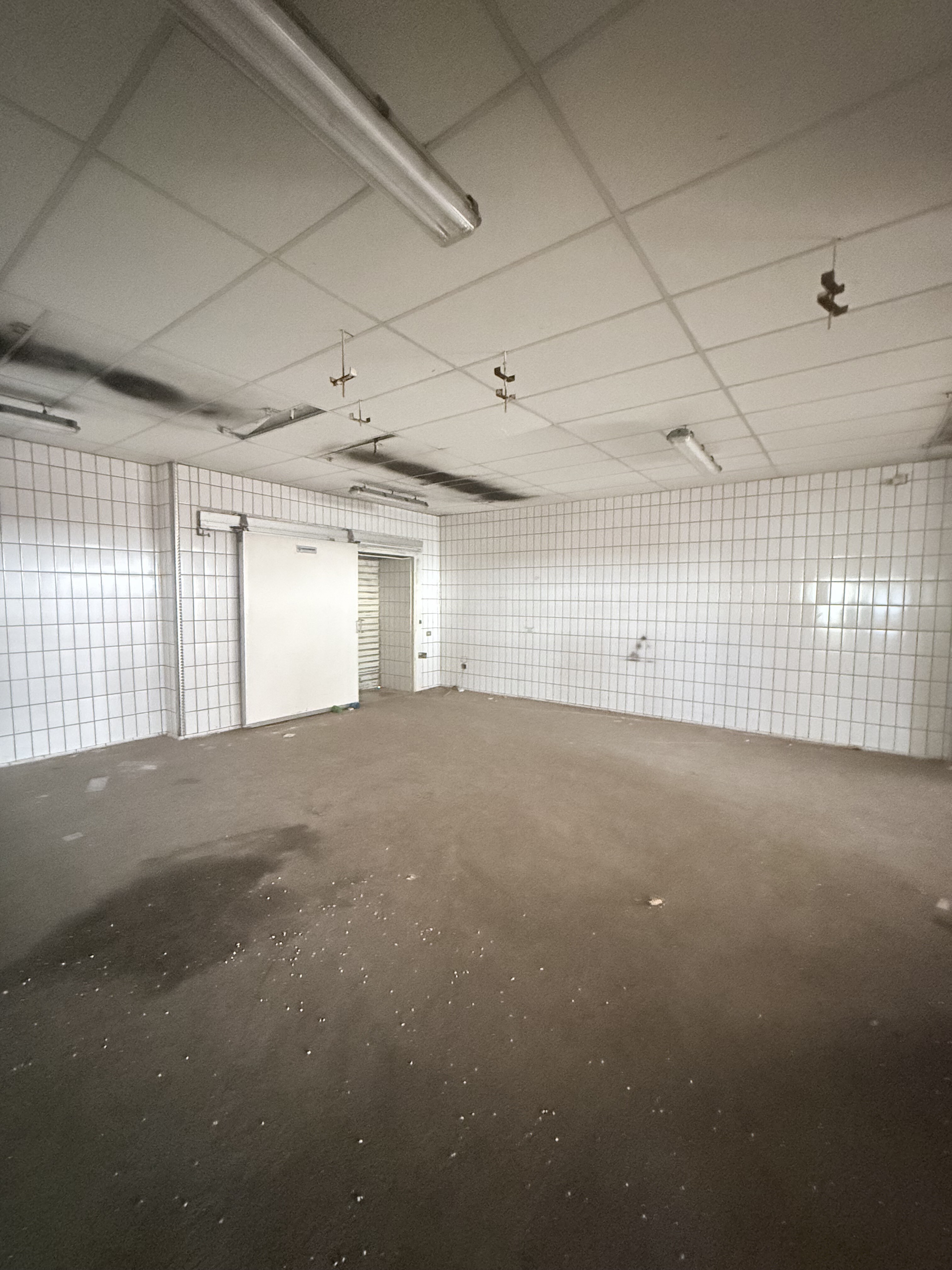 Complesso uso industriale vendita a Bari