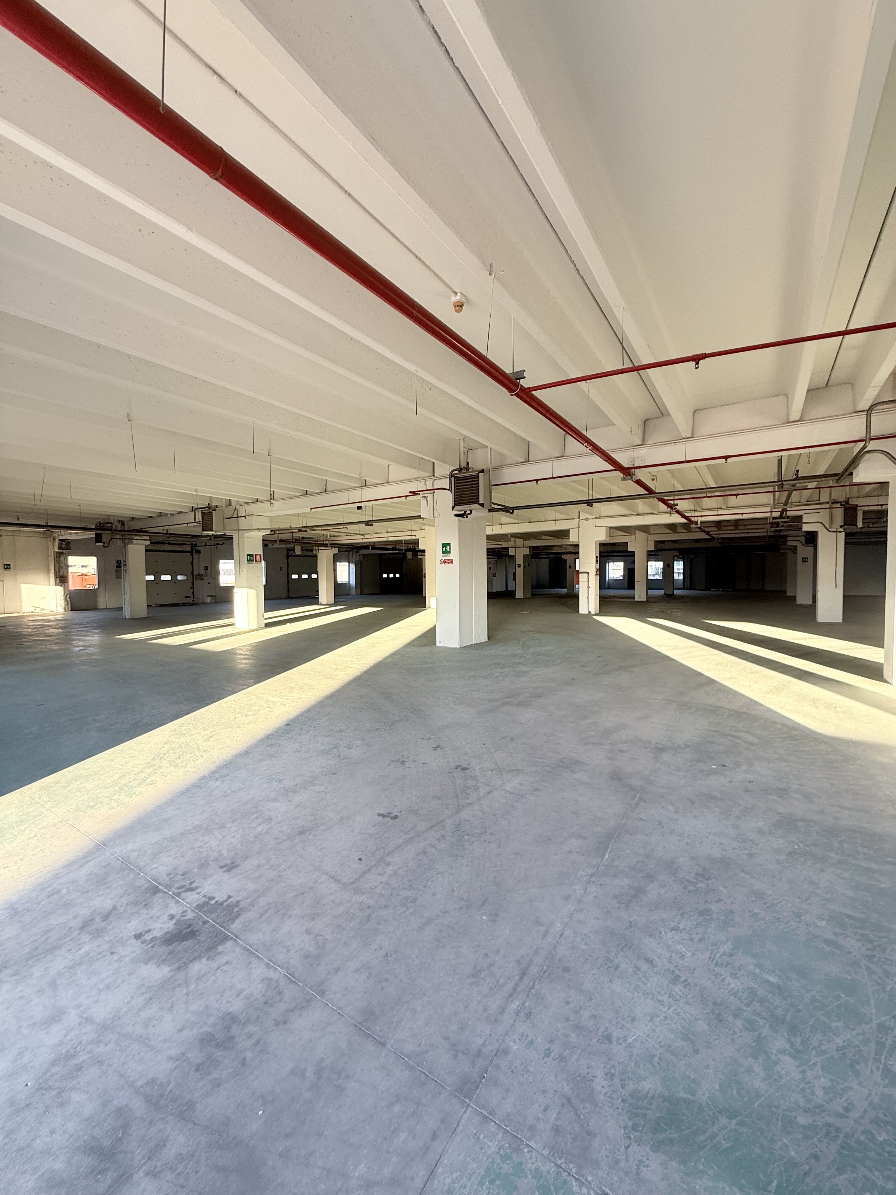 Complesso uso industriale affitto a Modugno