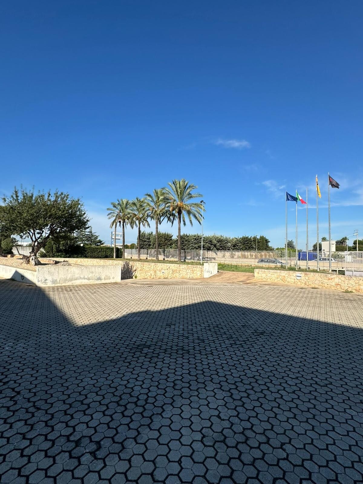 Complesso uso industriale affitto a Modugno