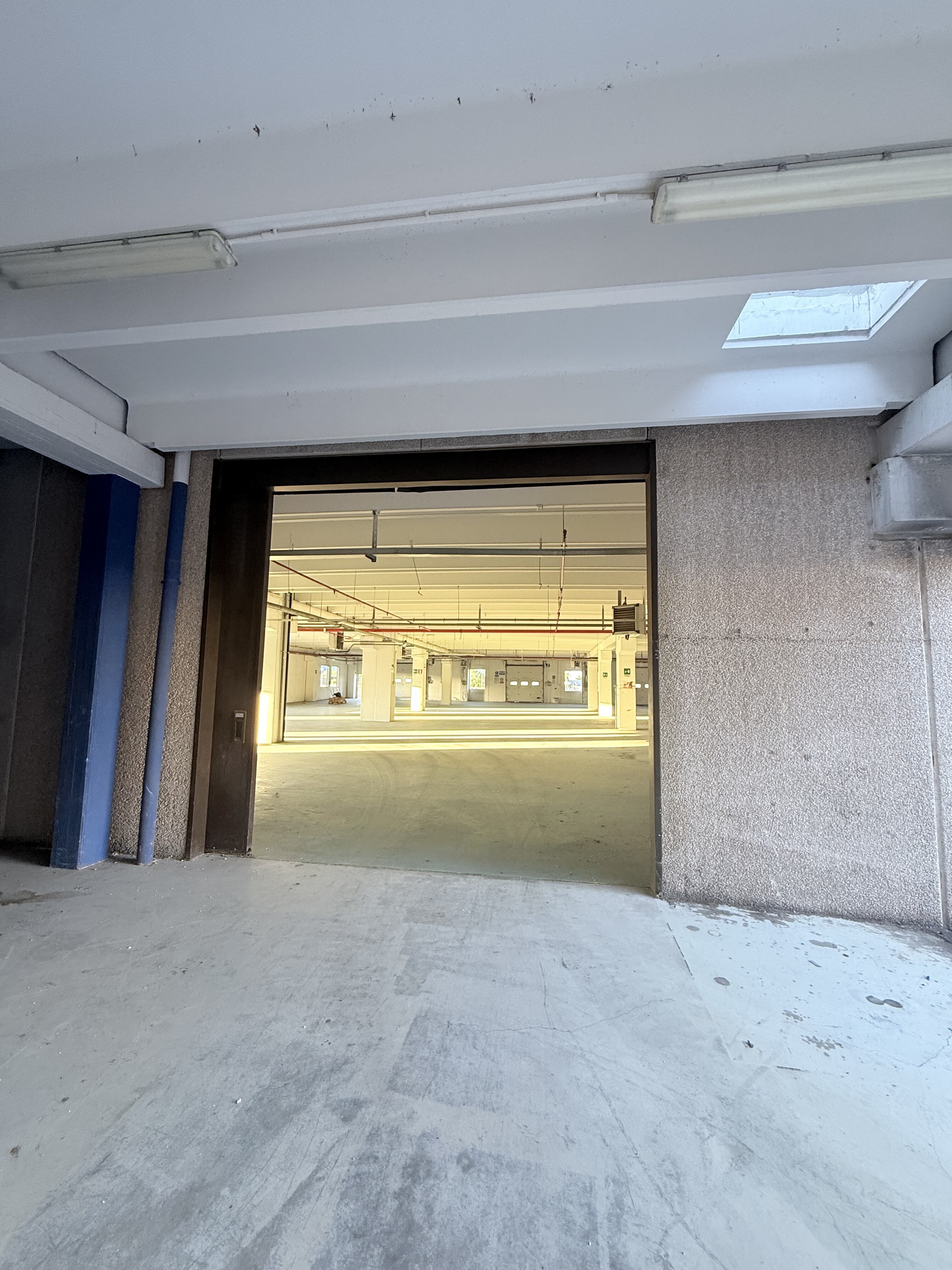 Complesso uso industriale affitto a Modugno